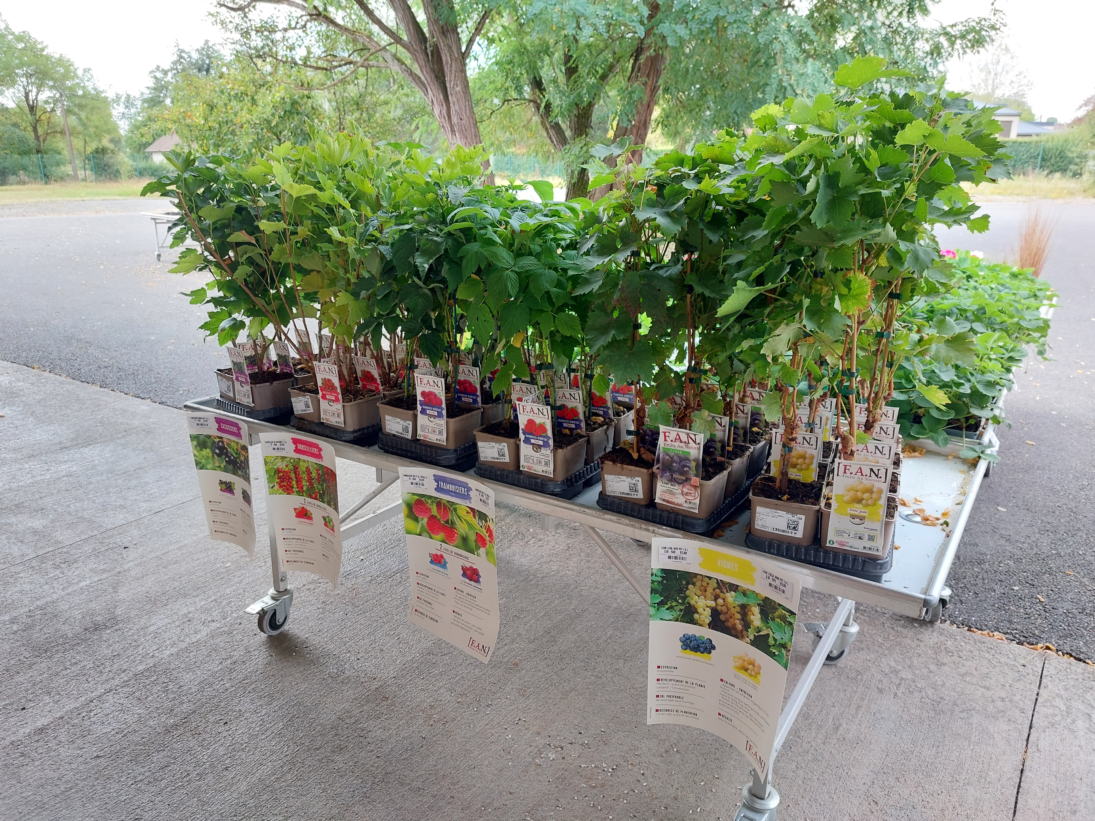 galerie image galerie image