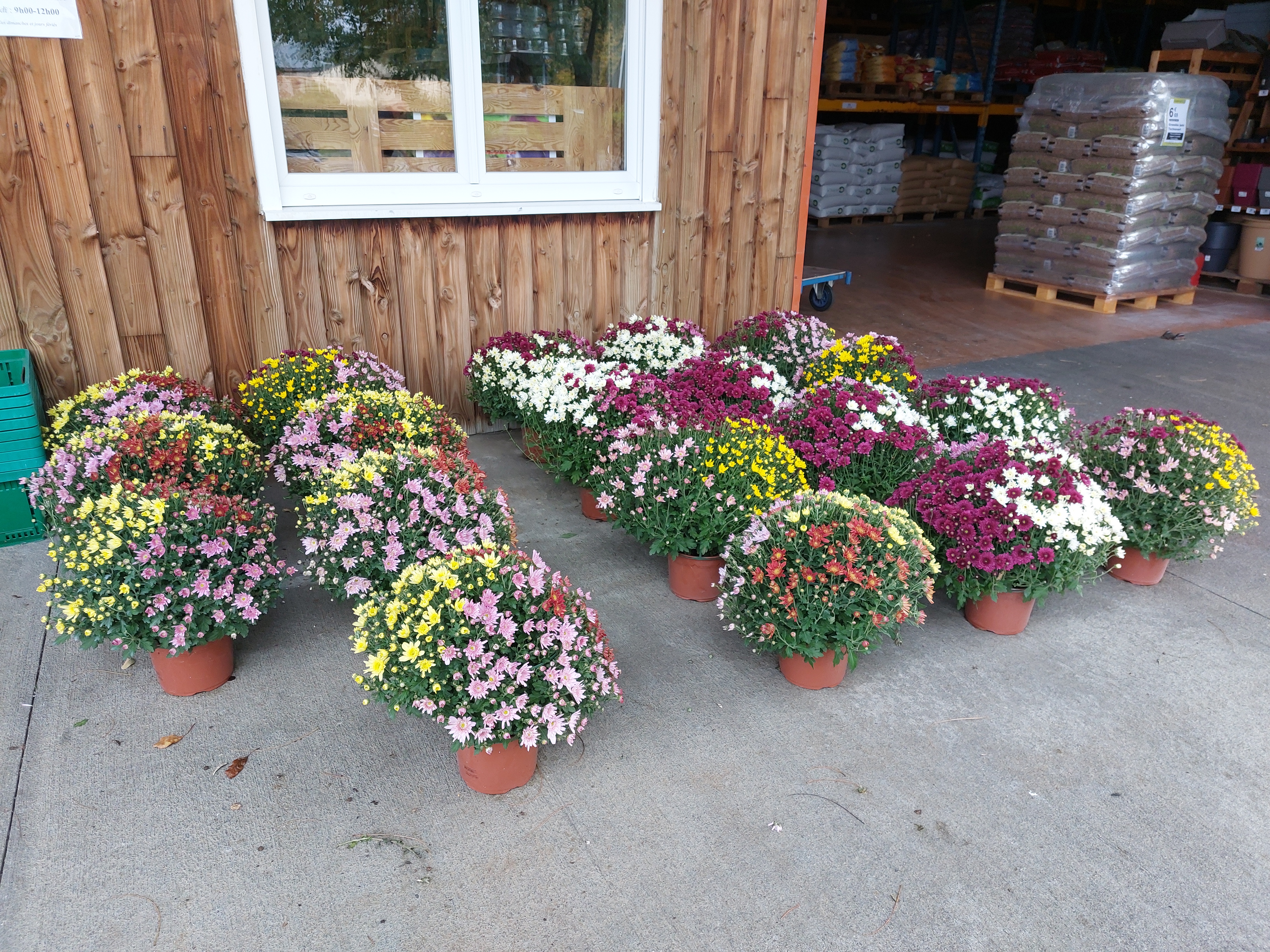 galerie image galerie image