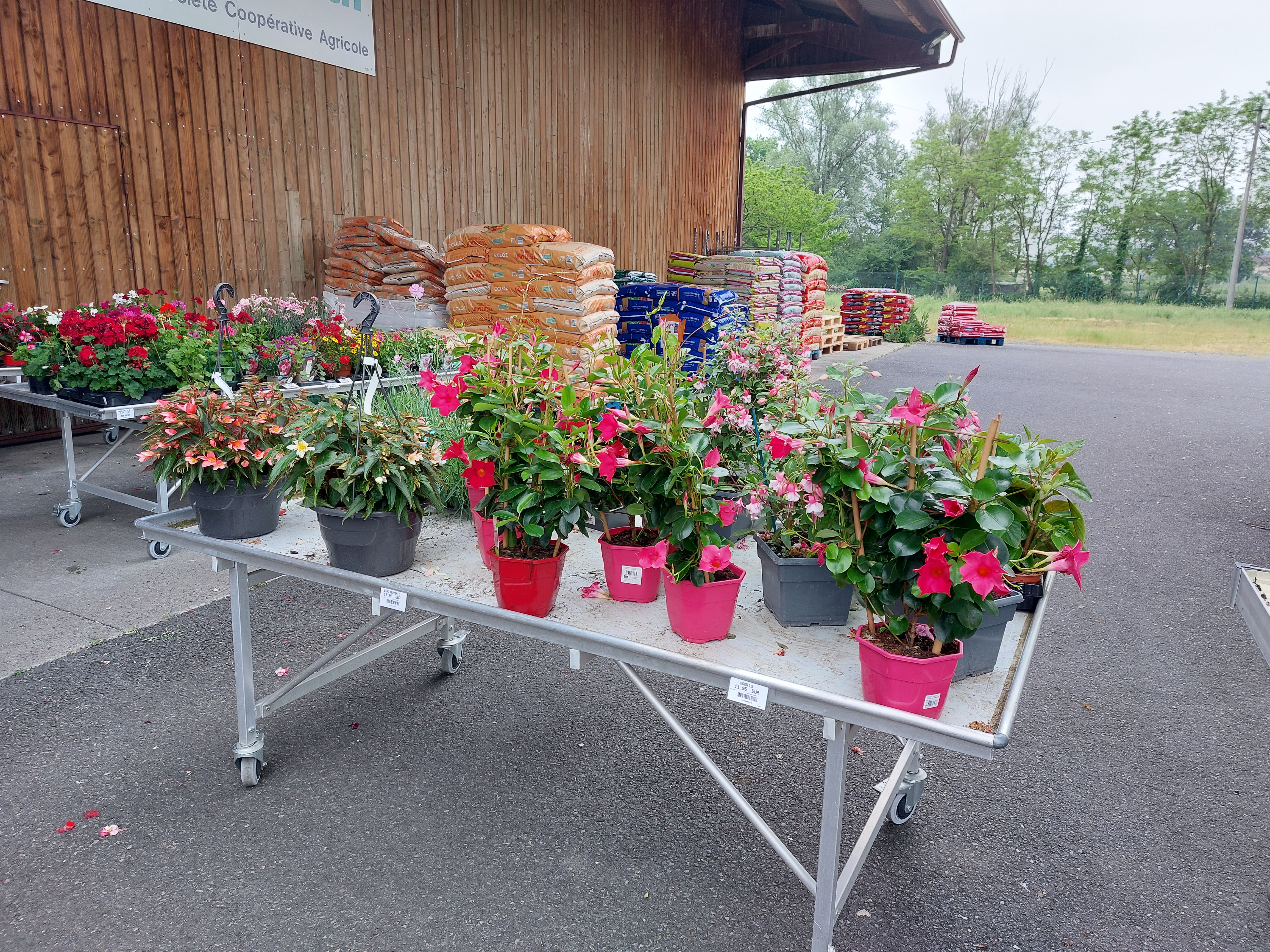 galerie image galerie image