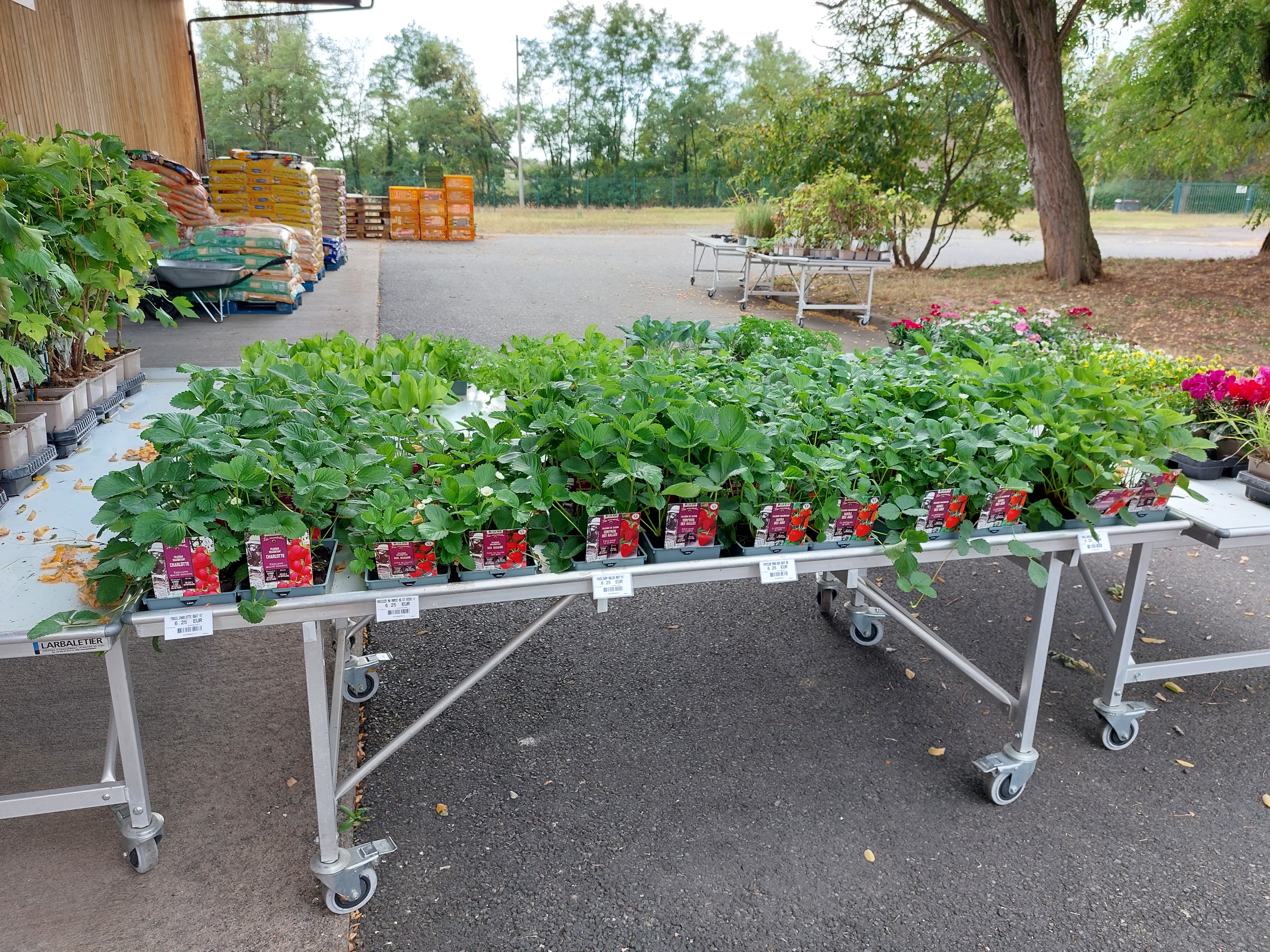 galerie image galerie image