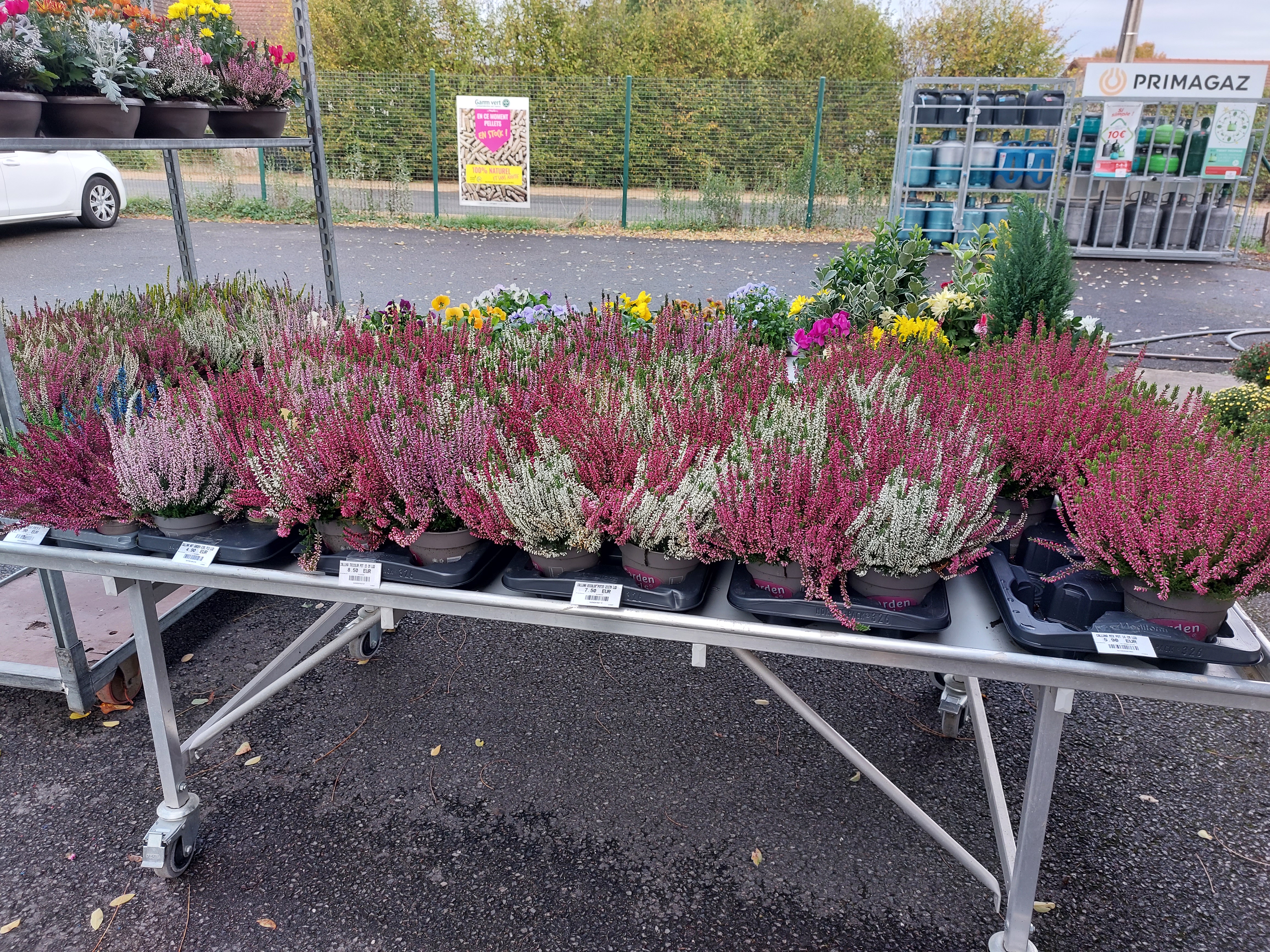 galerie image galerie image