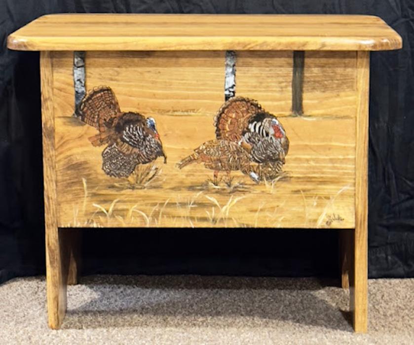 MnDs Crafters & Paintings - Springbrook, WI