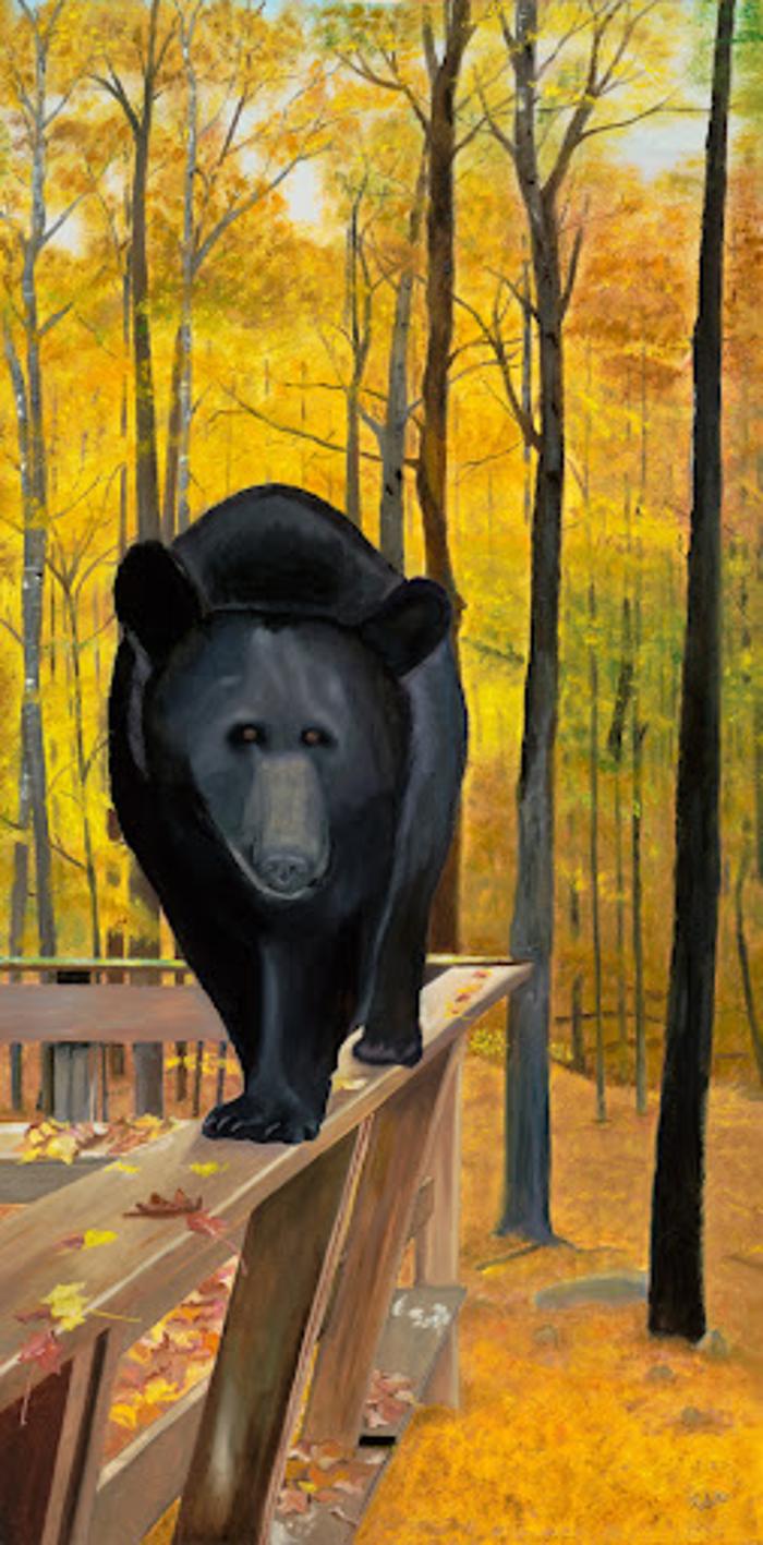 MnDs Crafters & Paintings - Springbrook, WI