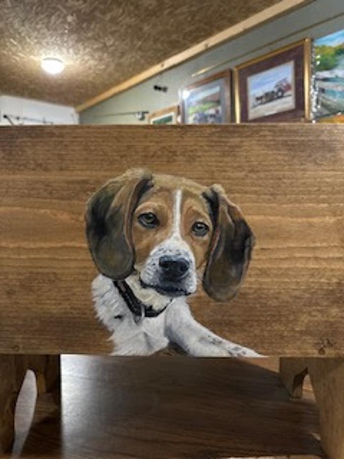 MnDs Crafters & Paintings - Springbrook, WI