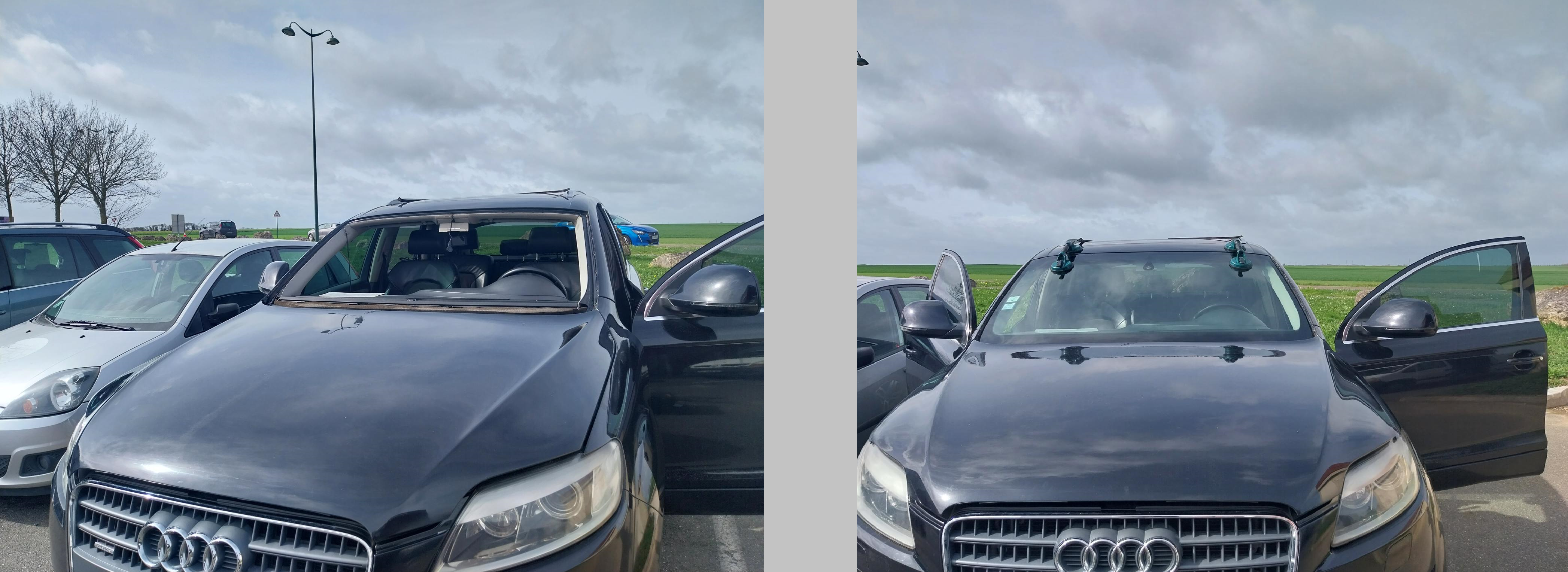 Miniature de la galerie