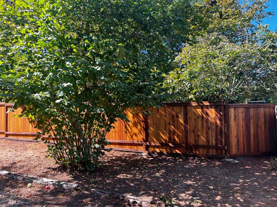 Wilder Construction - Springfield, OR