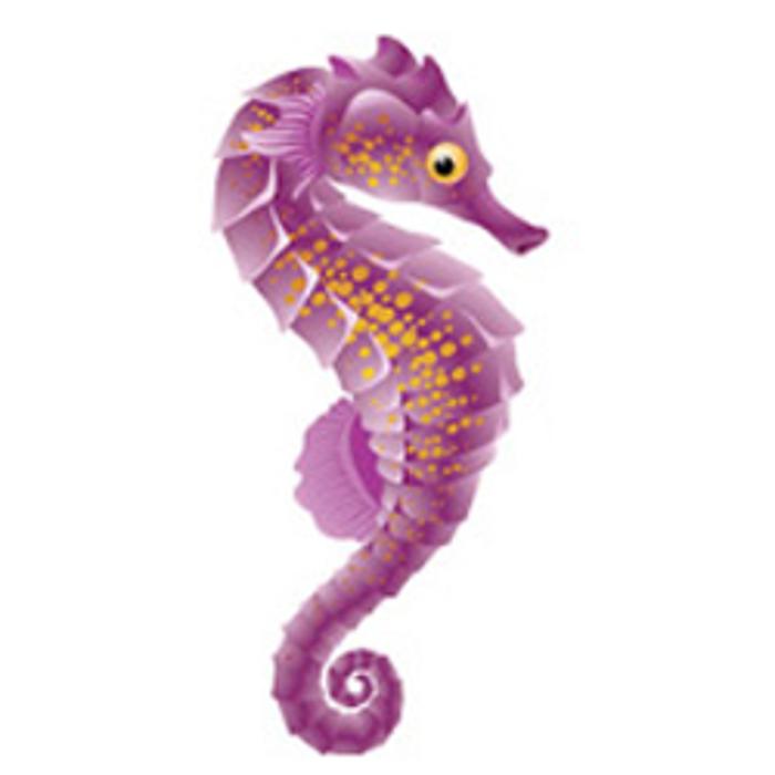 Kirk Orthodontics - Petaluma, CA