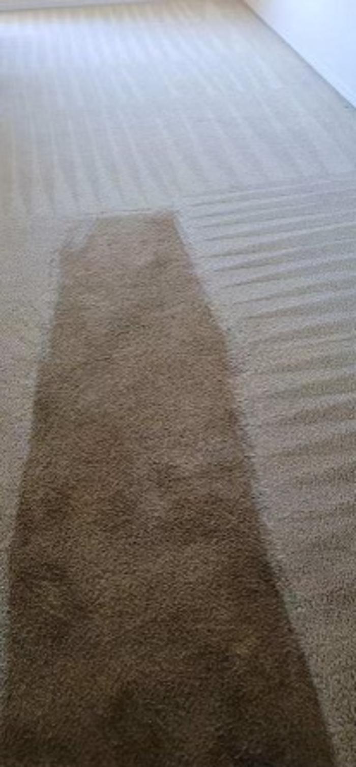 Northstar Cleaning and Restoration - Royse City, TX