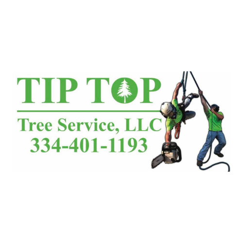 Tip-Top Tree Service - Salem, AL - (334)401-1193 | ShowMeLocal.com