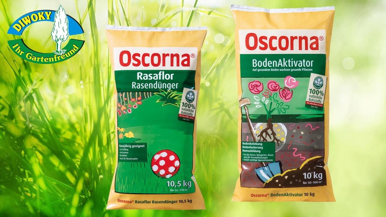 Diwoky GmbH, Stadlweg in Wien