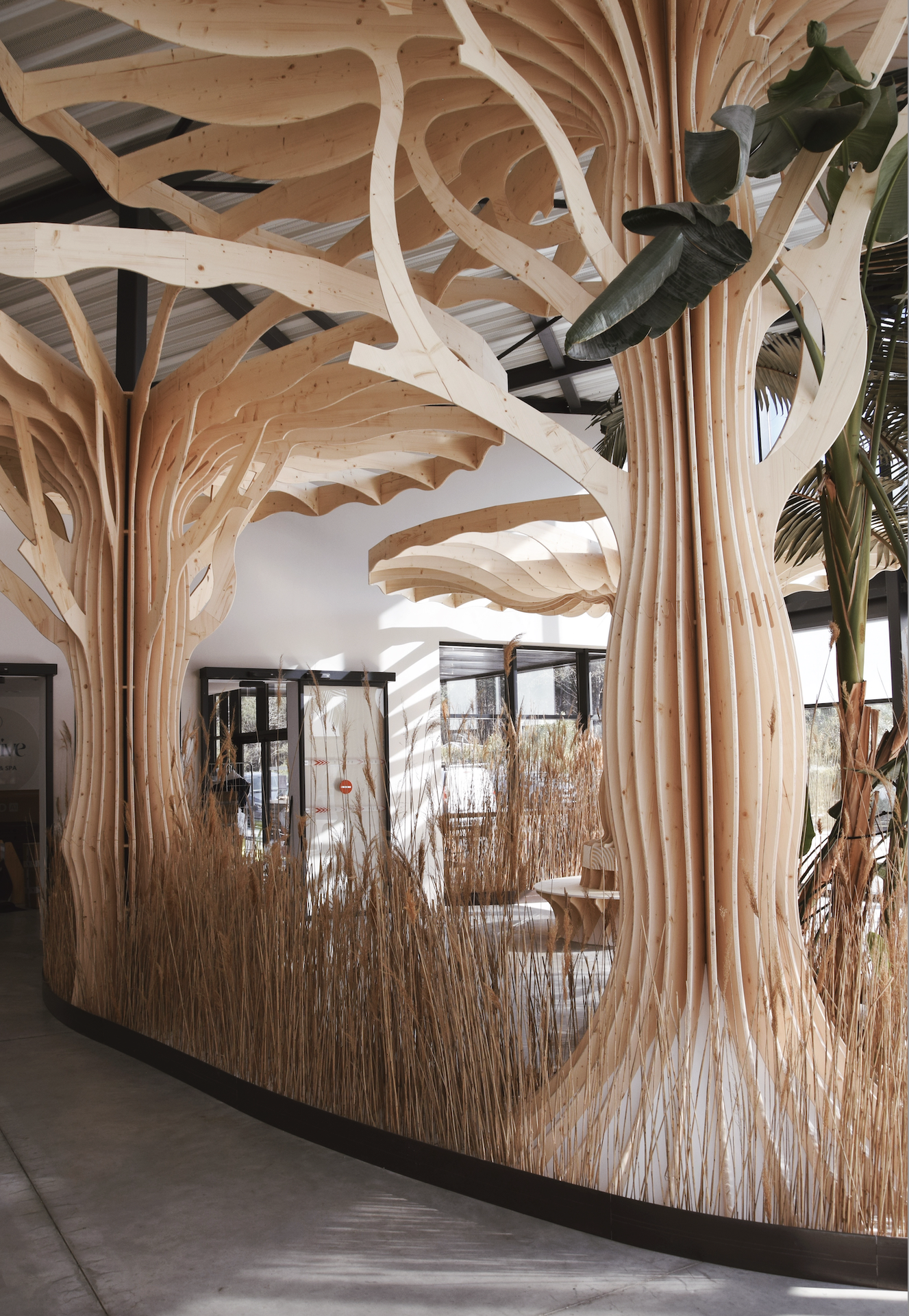 galerie image