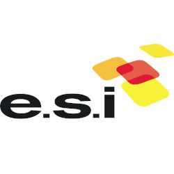 ESI informatique (logiciel et progiciel)