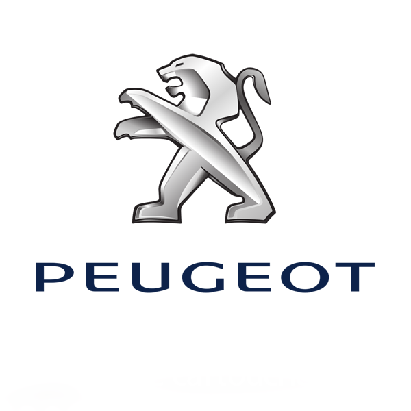 Peugeot Monmaneix pièces et accessoires automobile, véhicule industriel (commerce)