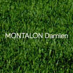 Montalon Damien paysagiste conseil