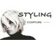 Styling Coiffure Coiffure, beauté