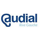 Audial Rive Gauche Expert