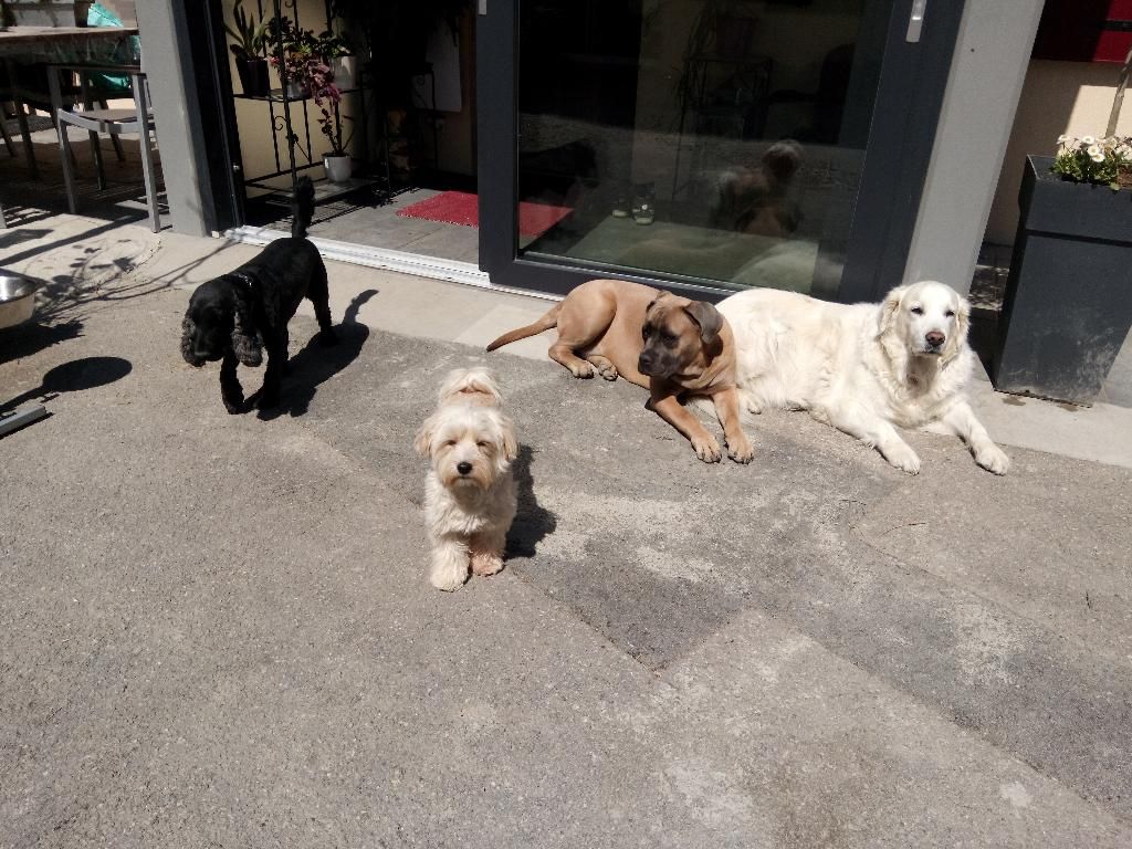 galerie image galerie image