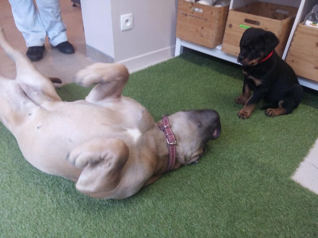 galerie image galerie image