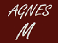 Agnès M store (fournitures)