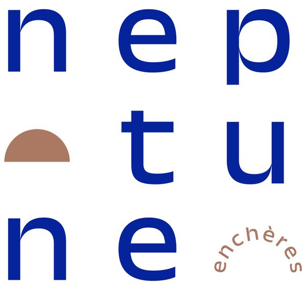 Neptune Enchères conseil départemental