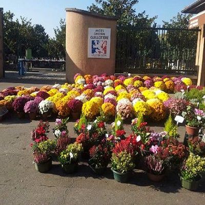 galerie image galerie image