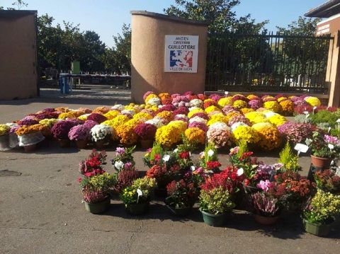 galerie image galerie image