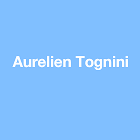 Tognini Aurelien Expert
