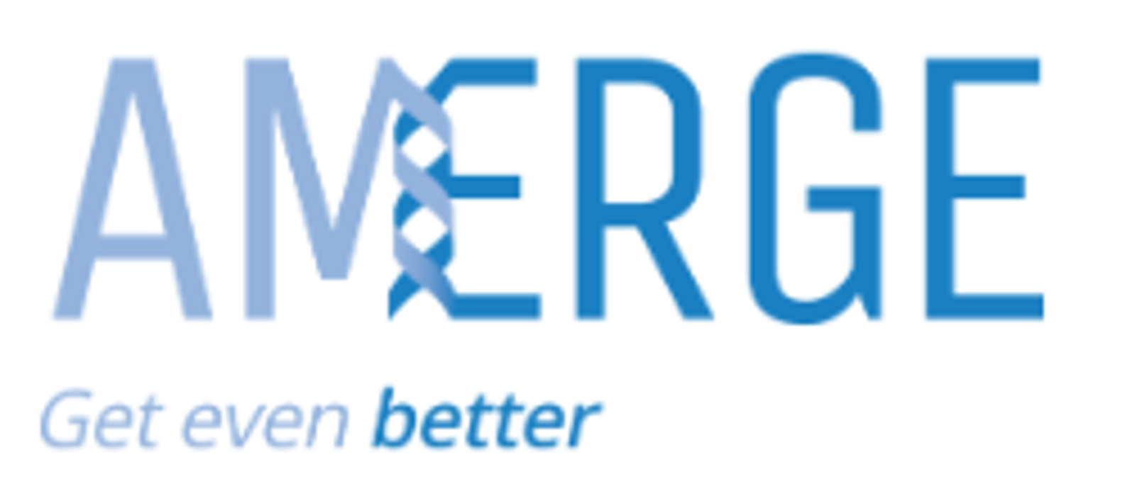 Amerge LLC - Port Chester, NY