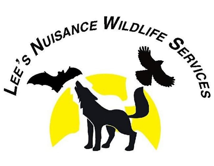 Lee's Nuisance Wildlife Services - Madison, IN