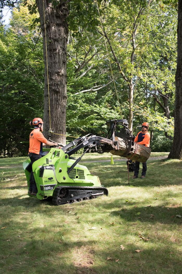 SavATree - Tree Service - Redwood City, CA