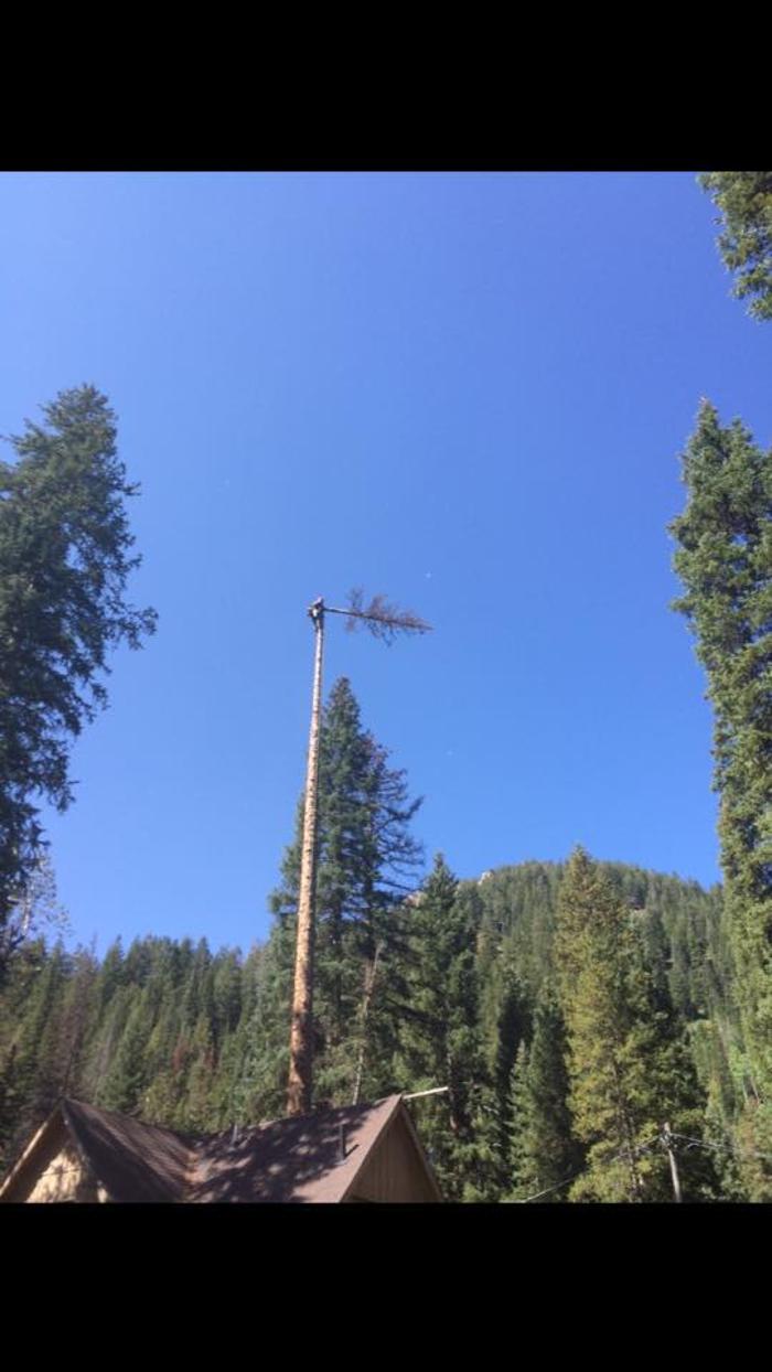 SavATree - Tree Service & Lawn Care - Park City, UT