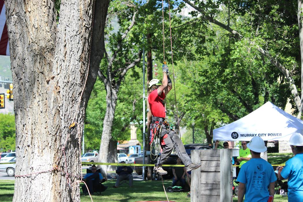 SavATree - Tree Service & Lawn Care - Park City, UT