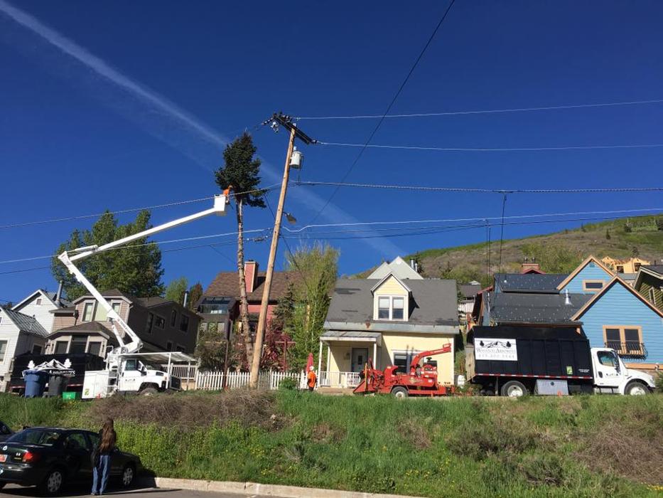 SavATree - Tree Service & Lawn Care - Park City, UT
