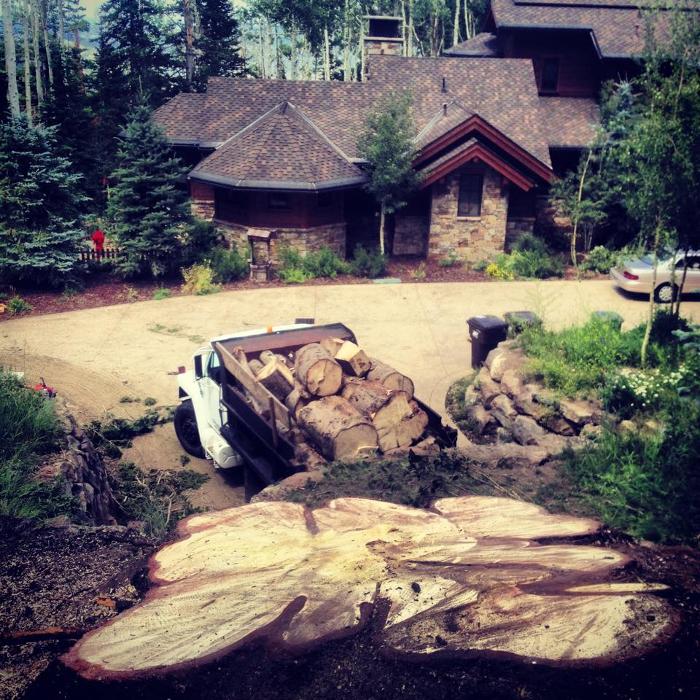 SavATree - Tree Service & Lawn Care - Park City, UT