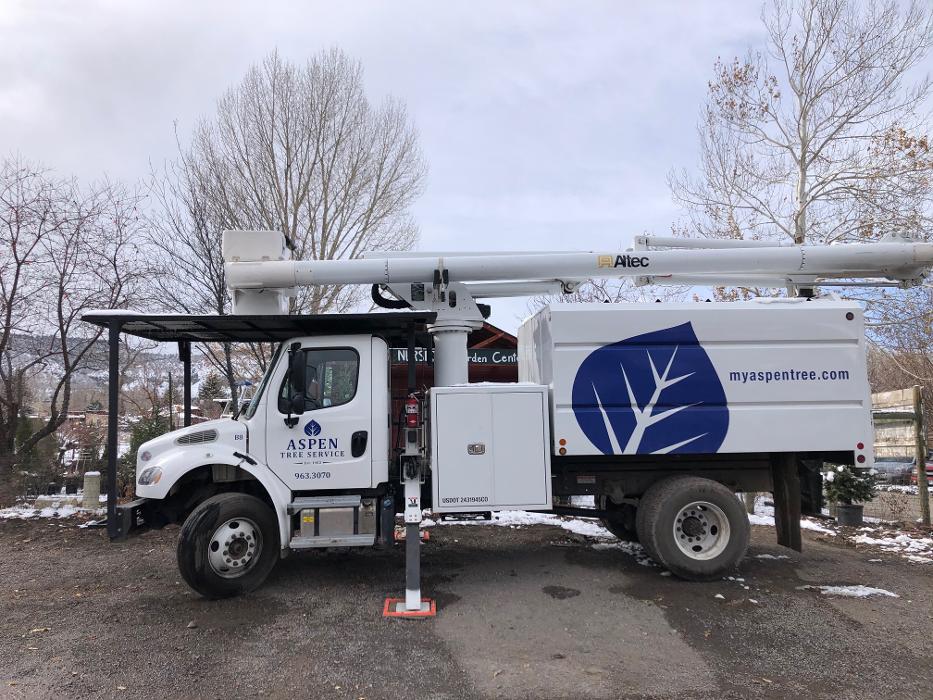 Aspen Tree Service - SavATree Image