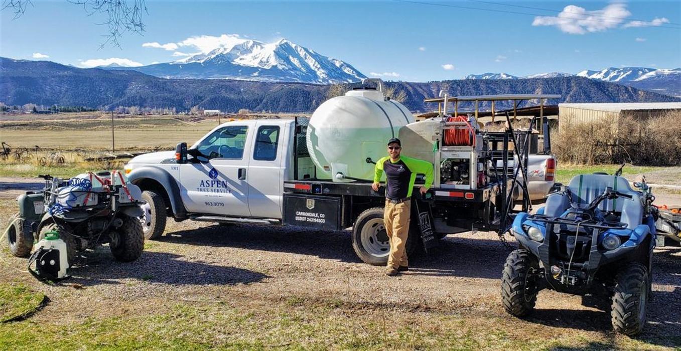 Aspen Tree Service - SavATree Image