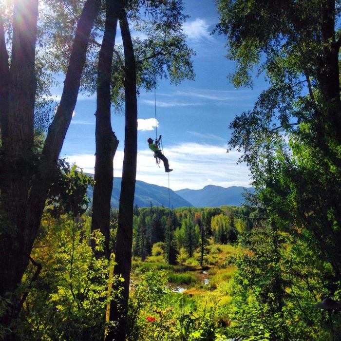 Aspen Tree Service - SavATree Image