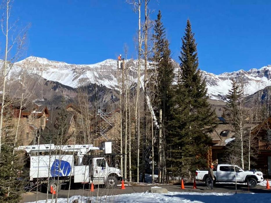 Aspen Tree Service - SavATree Image