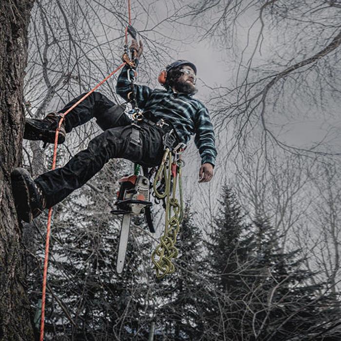 Aspen Tree Service - SavATree Image