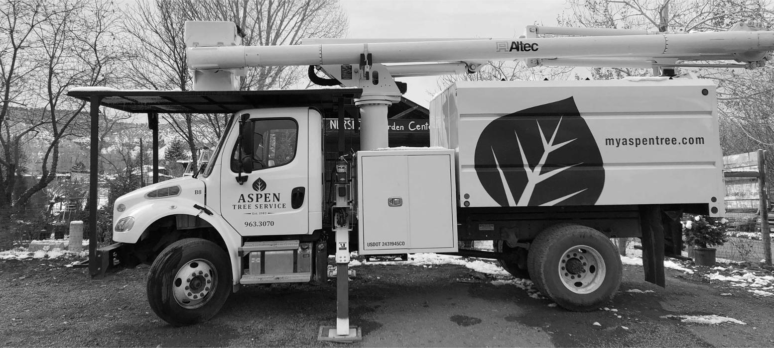 Aspen Tree Service - SavATree Image