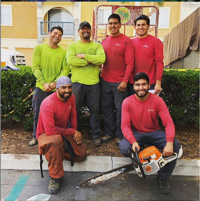 SavATree - Tree Service & Lawn Care Image