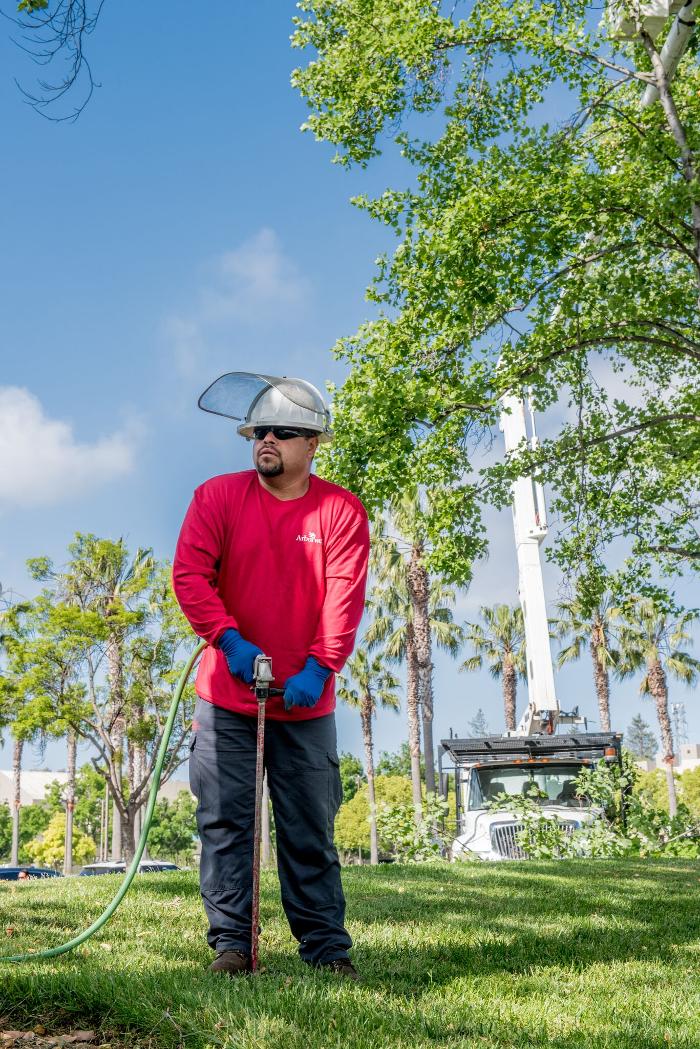 SavATree - Tree Service & Lawn Care Image