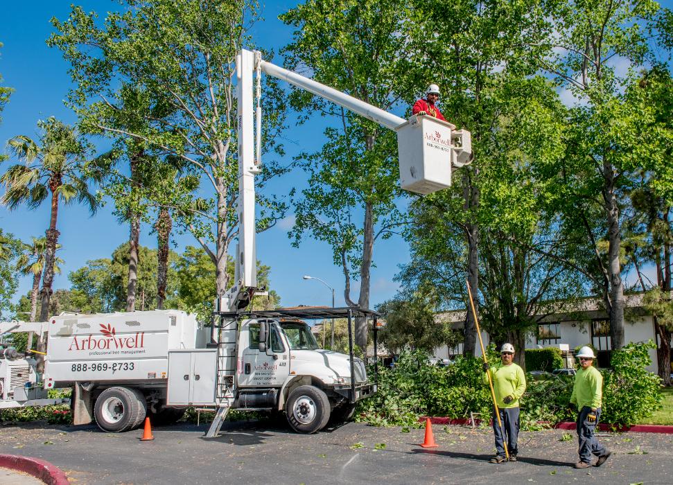 SavATree - Tree Service & Lawn Care Image