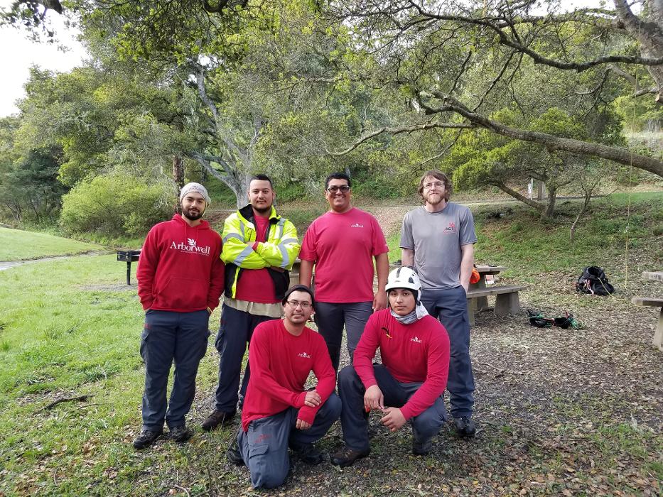 SavATree - Tree Service & Lawn Care Image