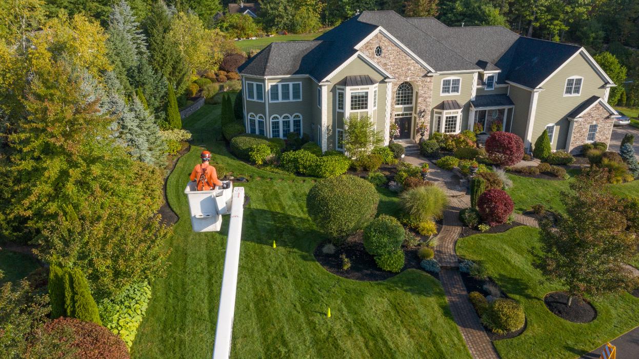 SavATree - Tree Service & Lawn Care - Thiensville, WI