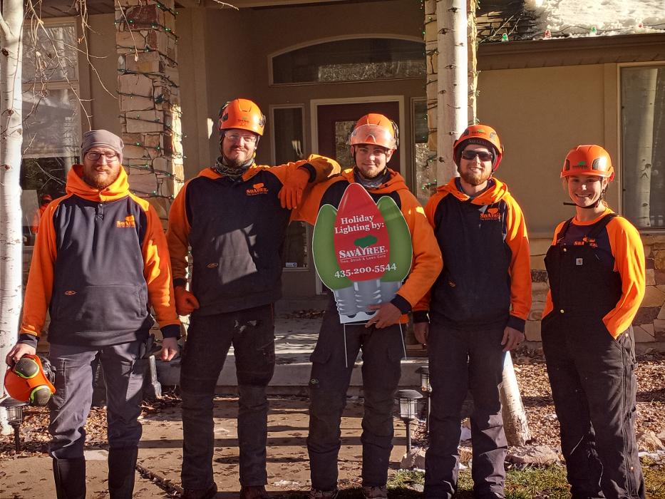 SavATree - Tree Service & Lawn Care - Thiensville, WI