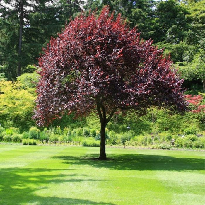 Thomas Greenhouse & Gardens - Mukwonago, WI