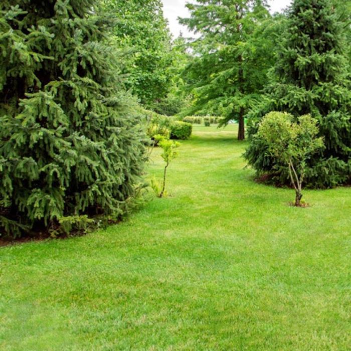 Thomas Greenhouse & Gardens - Mukwonago, WI