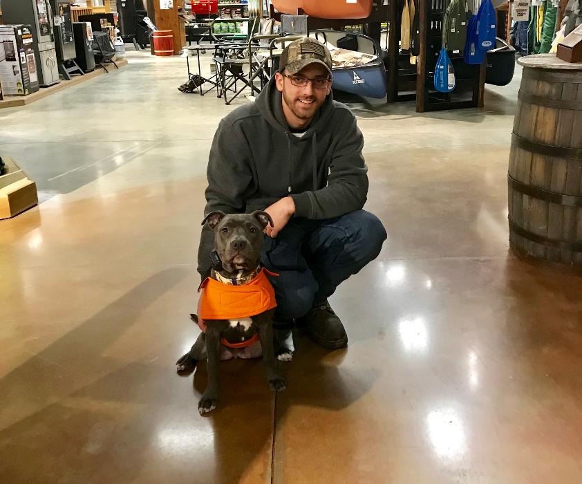 Tiger's Eye K9 Services - Manchester, NH