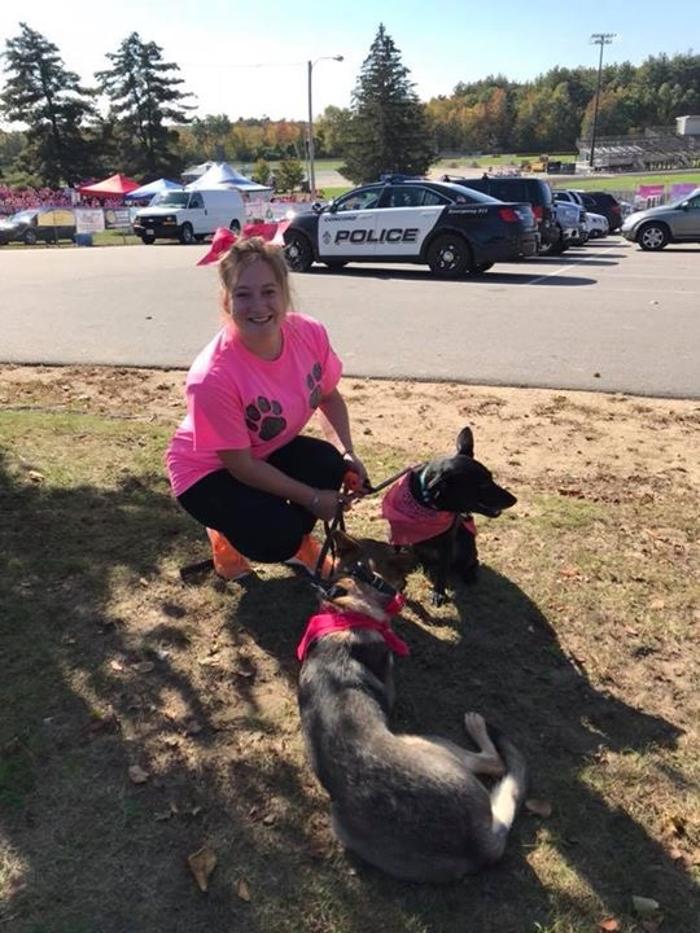 Tiger's Eye K9 Services - Manchester, NH